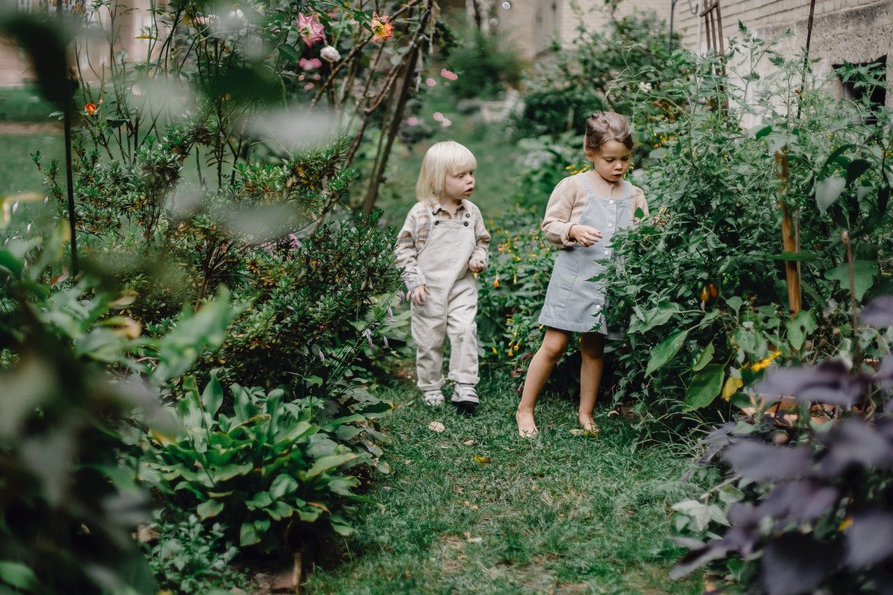 Quels sont les secrets pour un jardin réussi ?